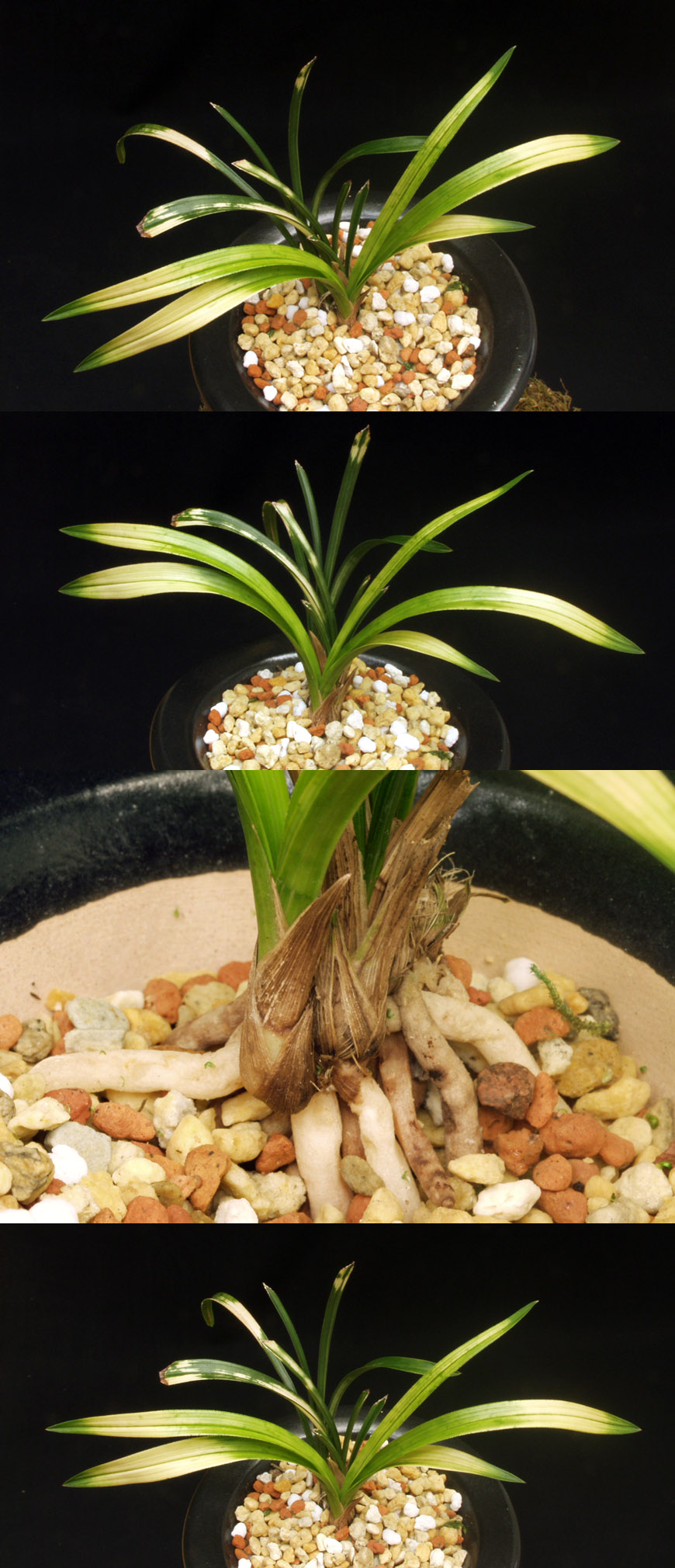 ������ ū������ �� �� �ֽ��ϴ�.