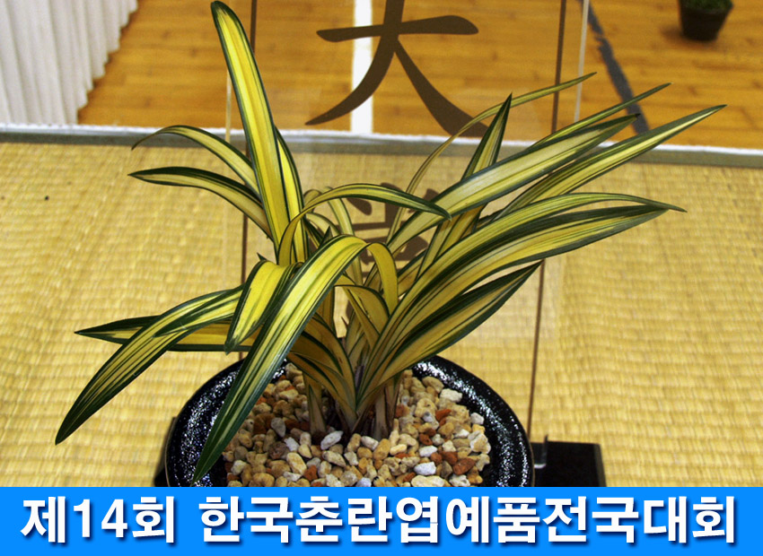 ������ ū������ �� �� �ֽ��ϴ�.