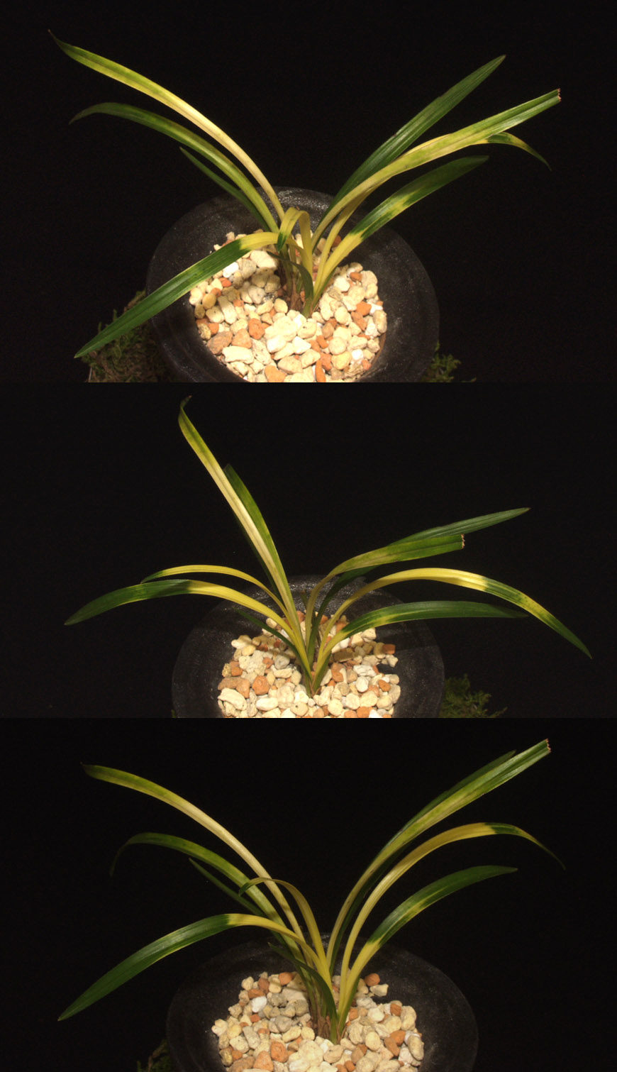 ������ ū������ �� �� �ֽ��ϴ�.