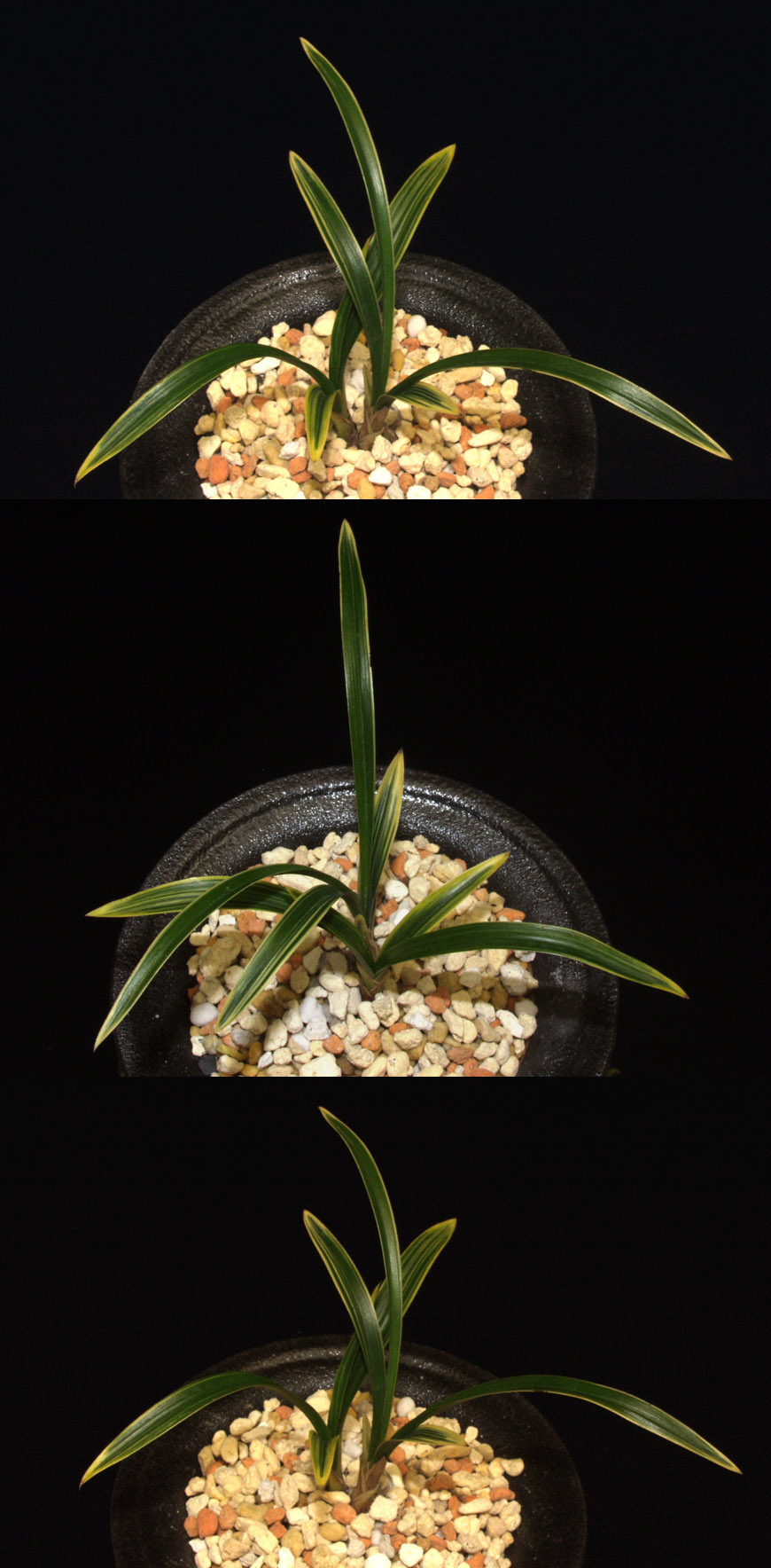 ������ ū������ �� �� �ֽ��ϴ�.