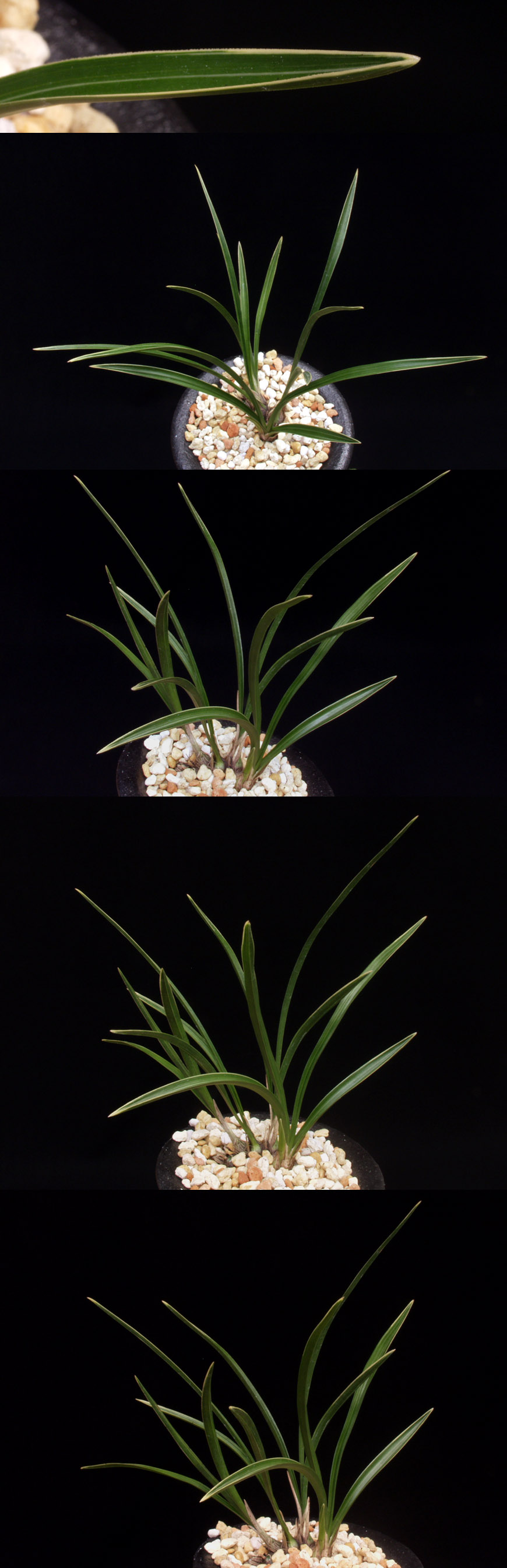 ������ ū������ �� �� �ֽ��ϴ�.