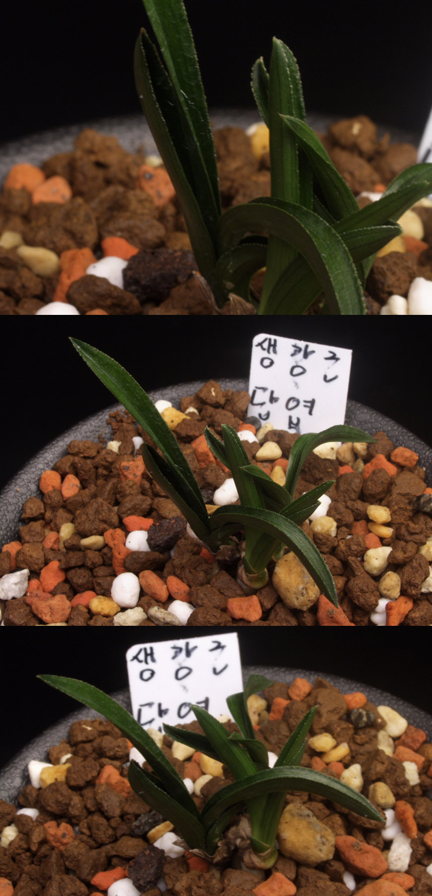 ������ ū������ �� �� �ֽ��ϴ�.