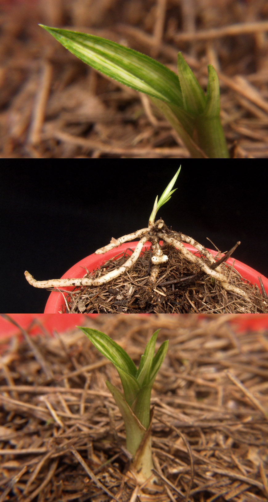 ������ ū������ �� �� �ֽ��ϴ�.