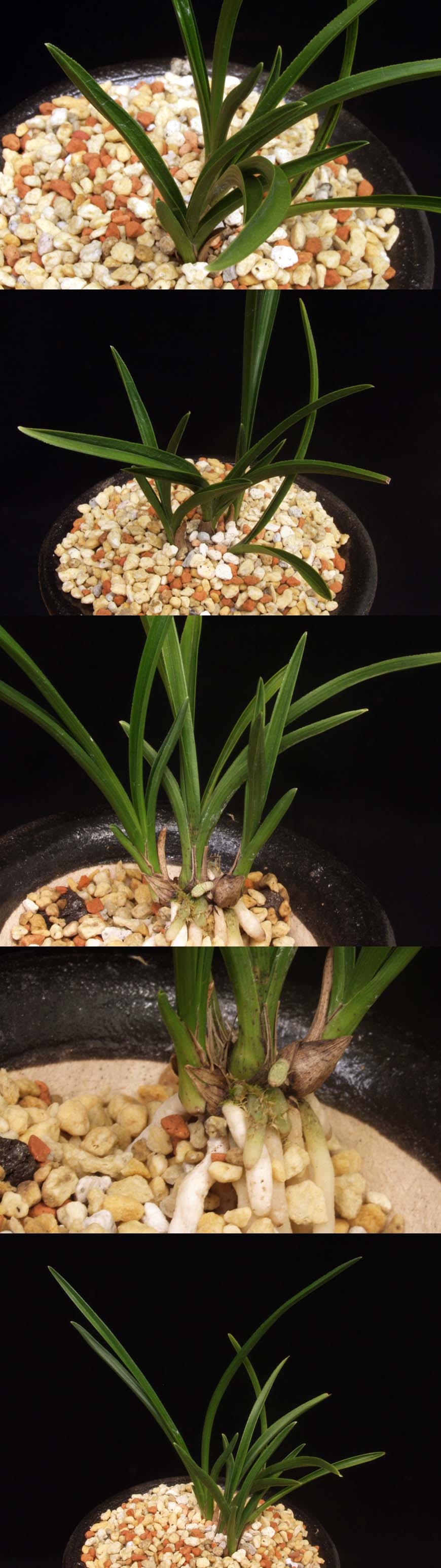 ������ ū������ �� �� �ֽ��ϴ�.