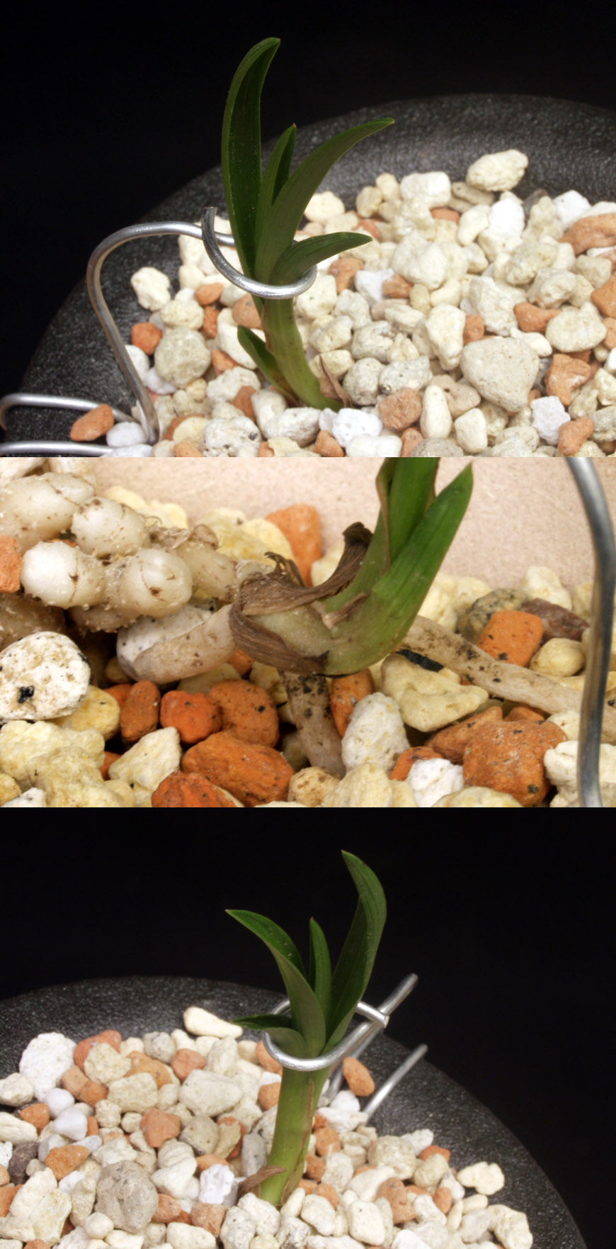 ������ ū������ �� �� �ֽ��ϴ�.