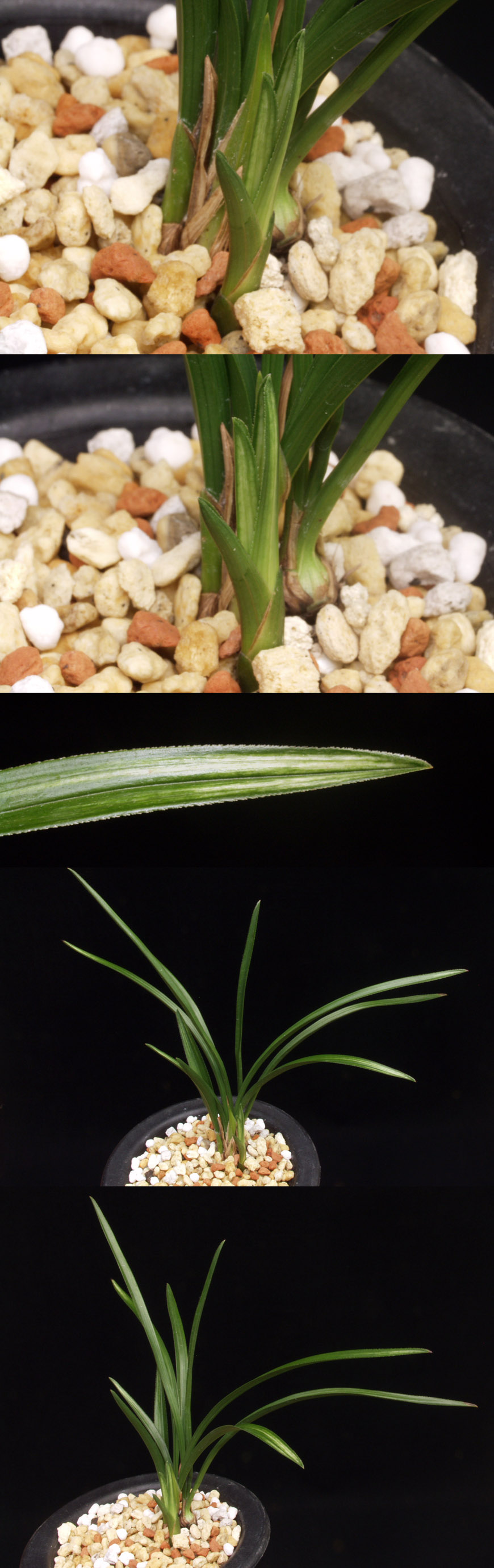 ������ ū������ �� �� �ֽ��ϴ�.