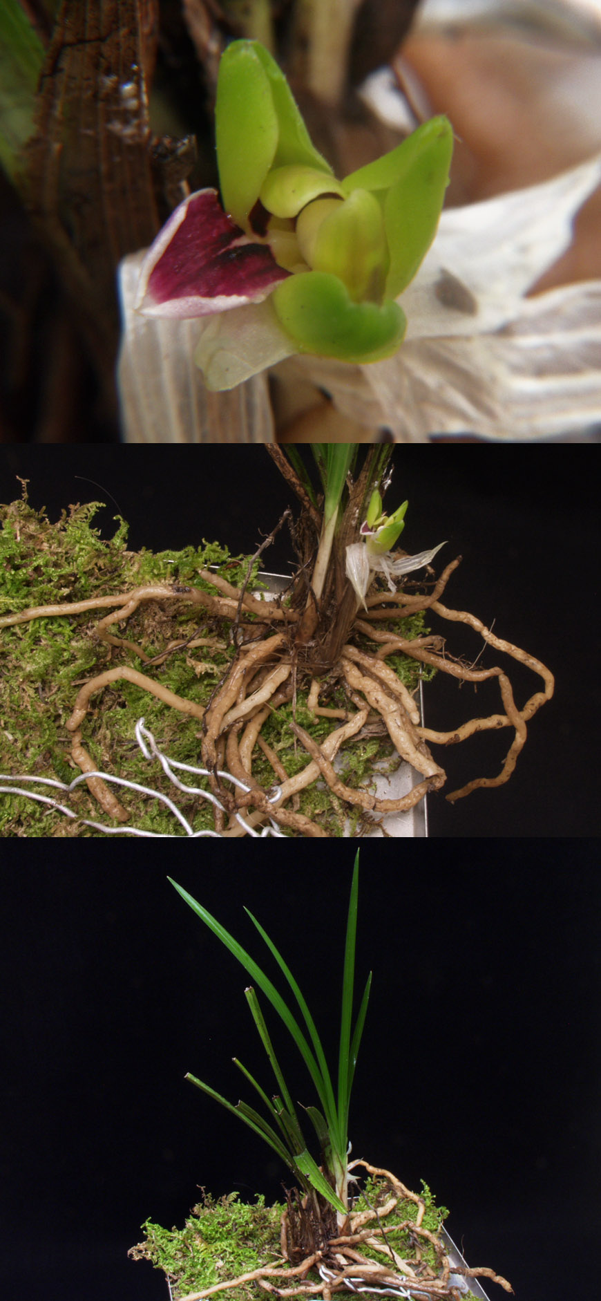 ������ ū������ �� �� �ֽ��ϴ�.