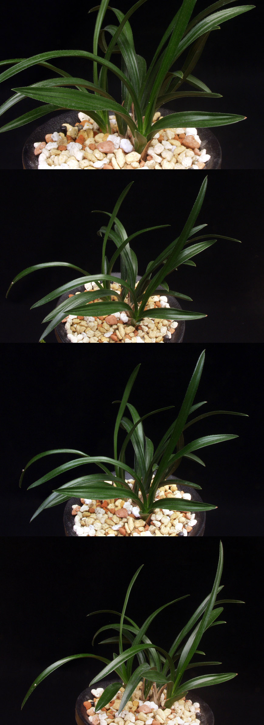 ������ ū������ �� �� �ֽ��ϴ�.