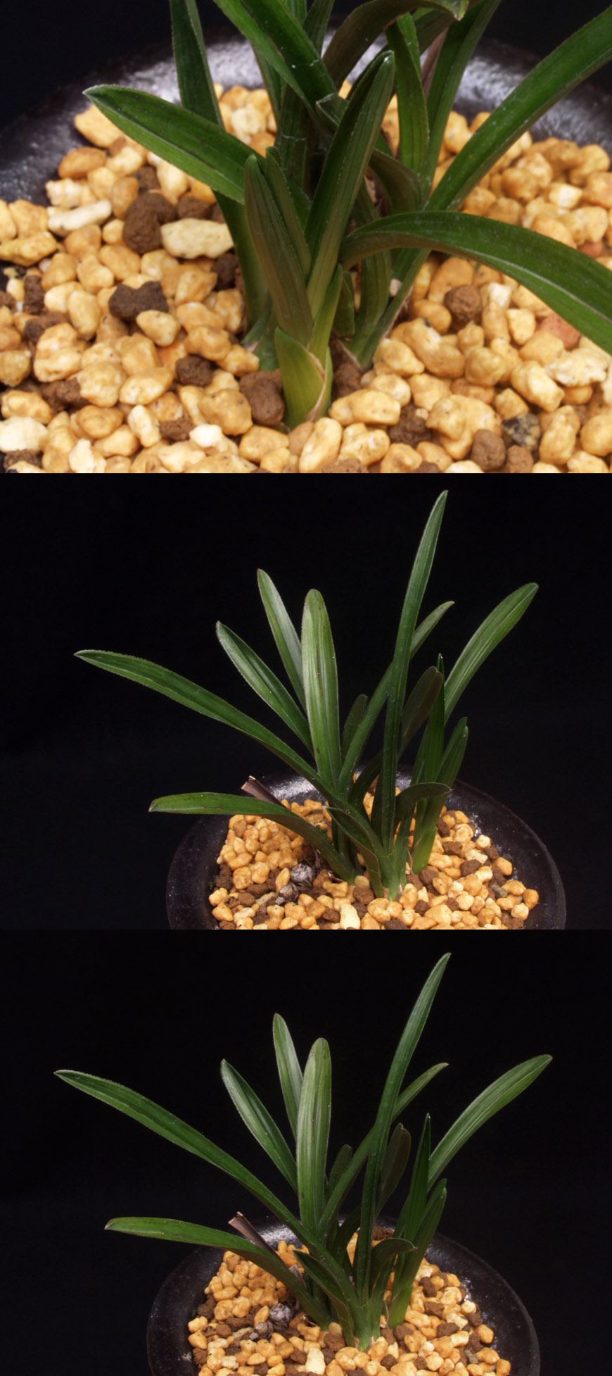 ������ ū������ �� �� �ֽ��ϴ�.