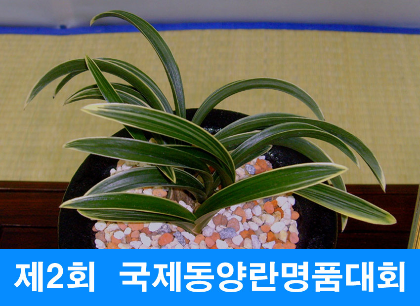 ������ ū������ �� �� �ֽ��ϴ�.