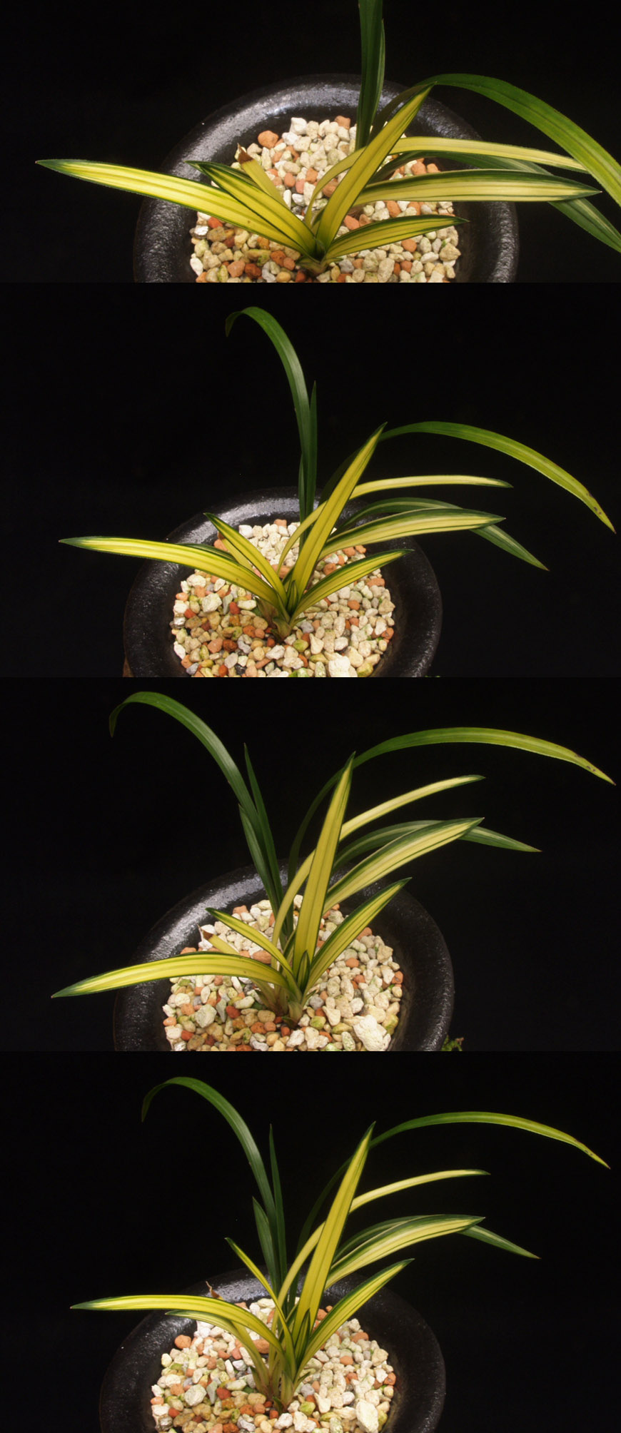 ������ ū������ �� �� �ֽ��ϴ�.