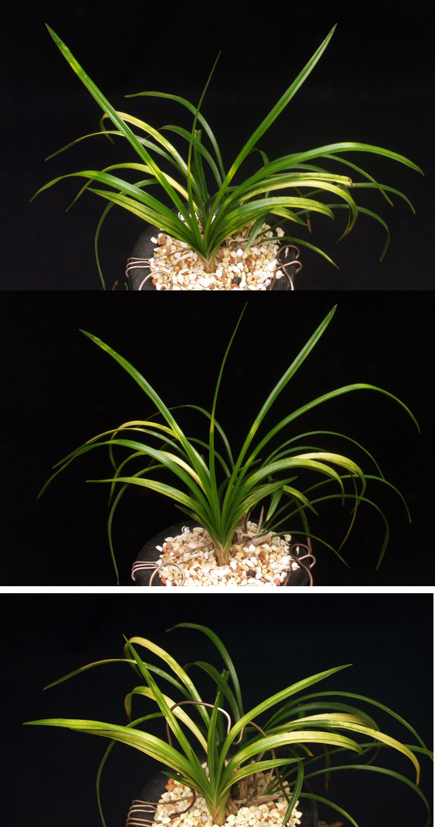 ������ ū������ �� �� �ֽ��ϴ�.