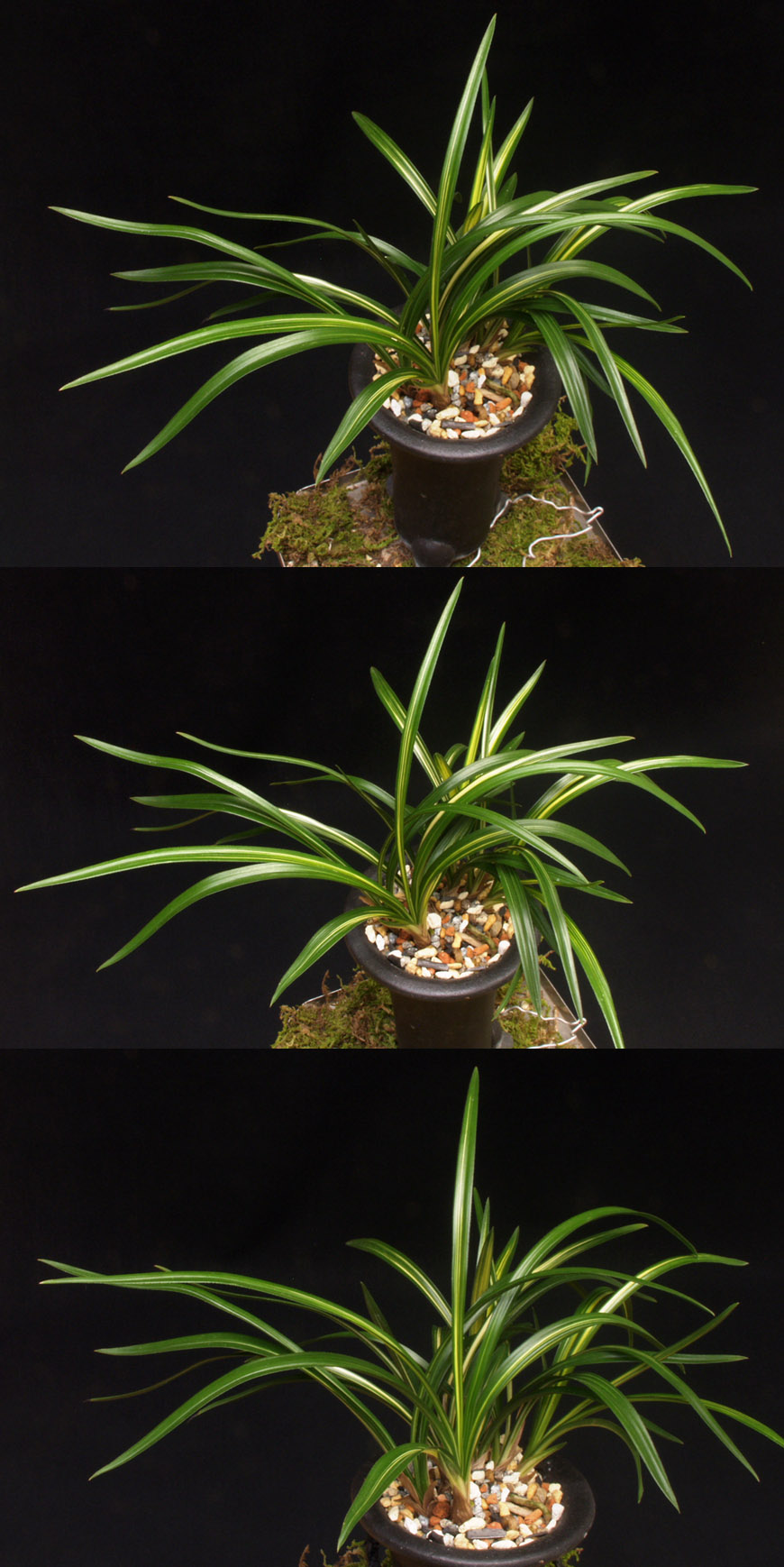 ������ ū������ �� �� �ֽ��ϴ�.