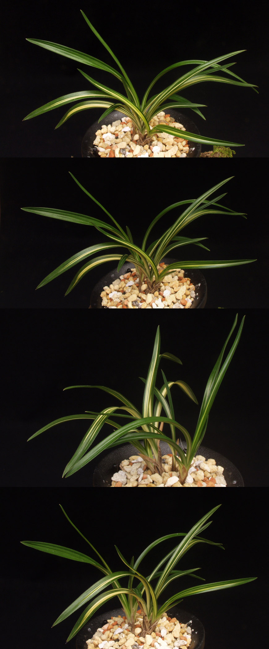 ������ ū������ �� �� �ֽ��ϴ�.