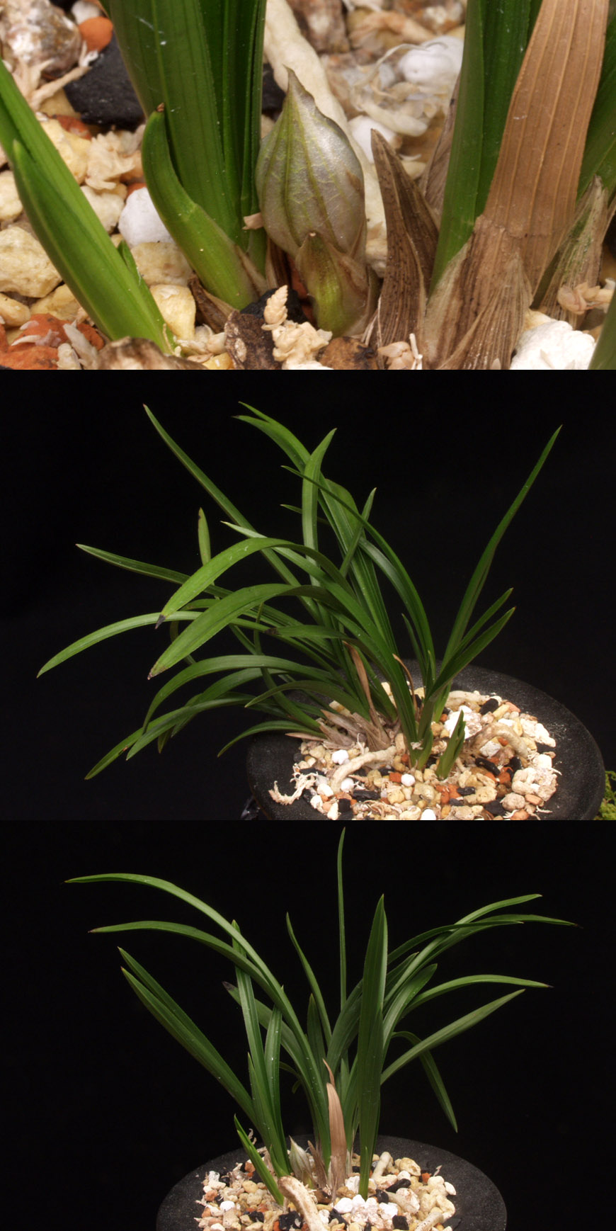 ������ ū������ �� �� �ֽ��ϴ�.