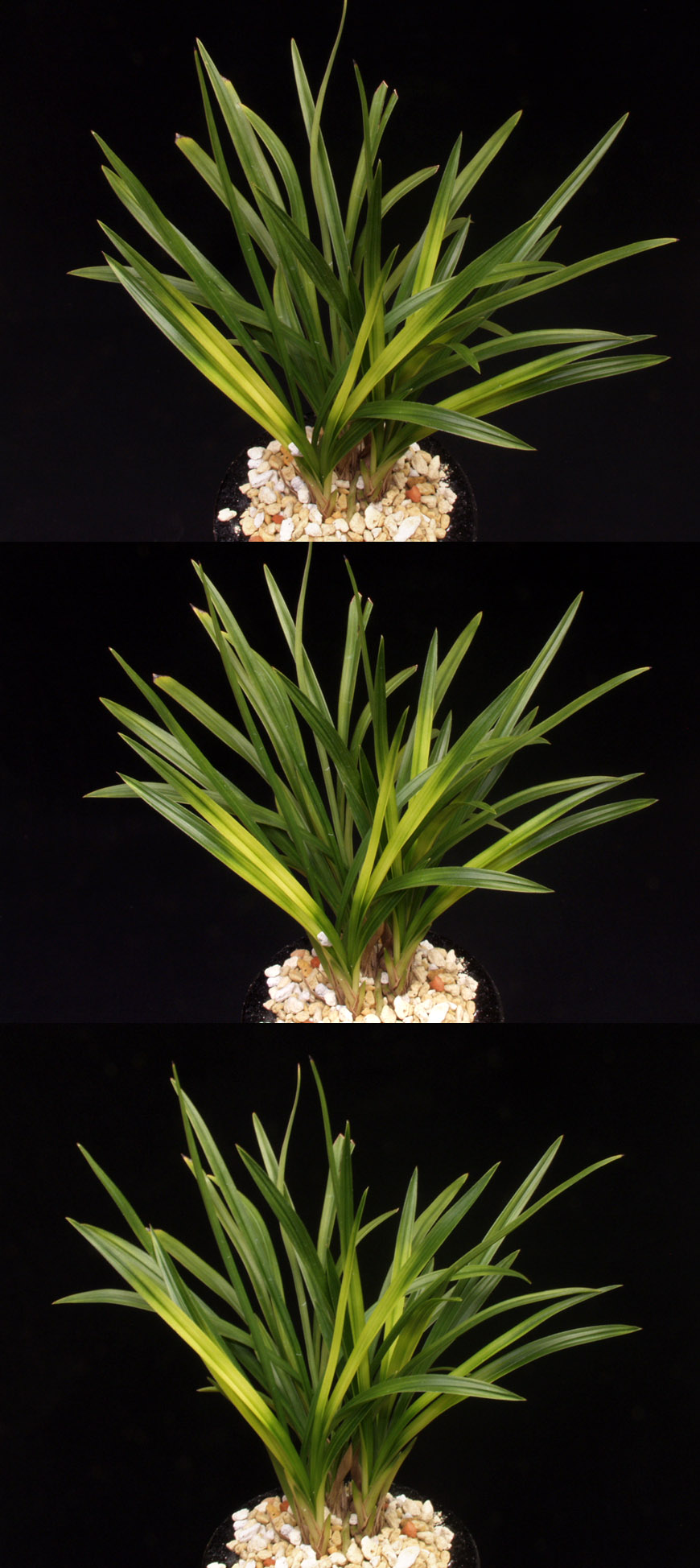 ������ ū������ �� �� �ֽ��ϴ�.