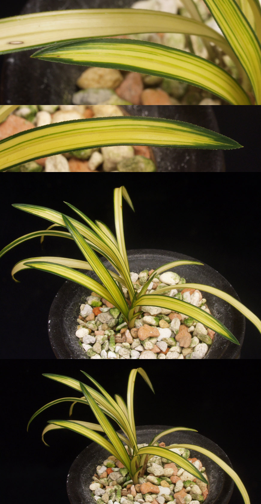 ������ ū������ �� �� �ֽ��ϴ�.