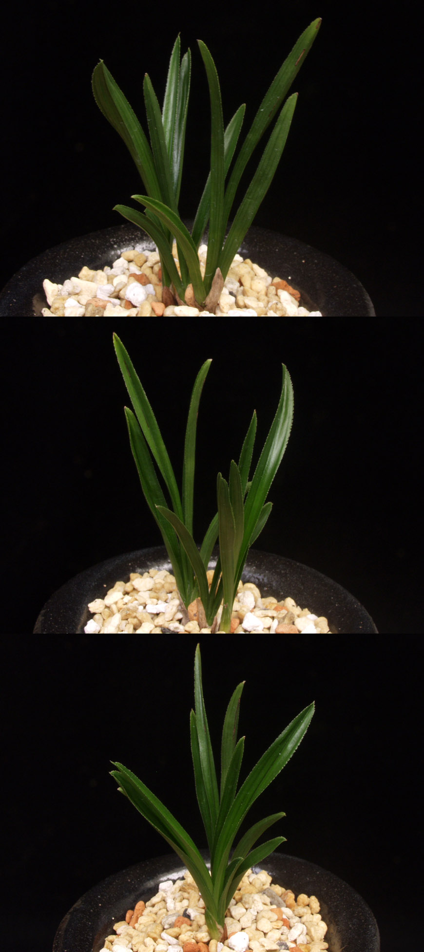 ������ ū������ �� �� �ֽ��ϴ�.