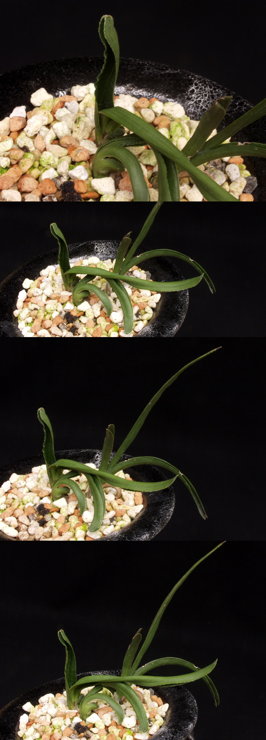 ������ ū������ �� �� �ֽ��ϴ�.