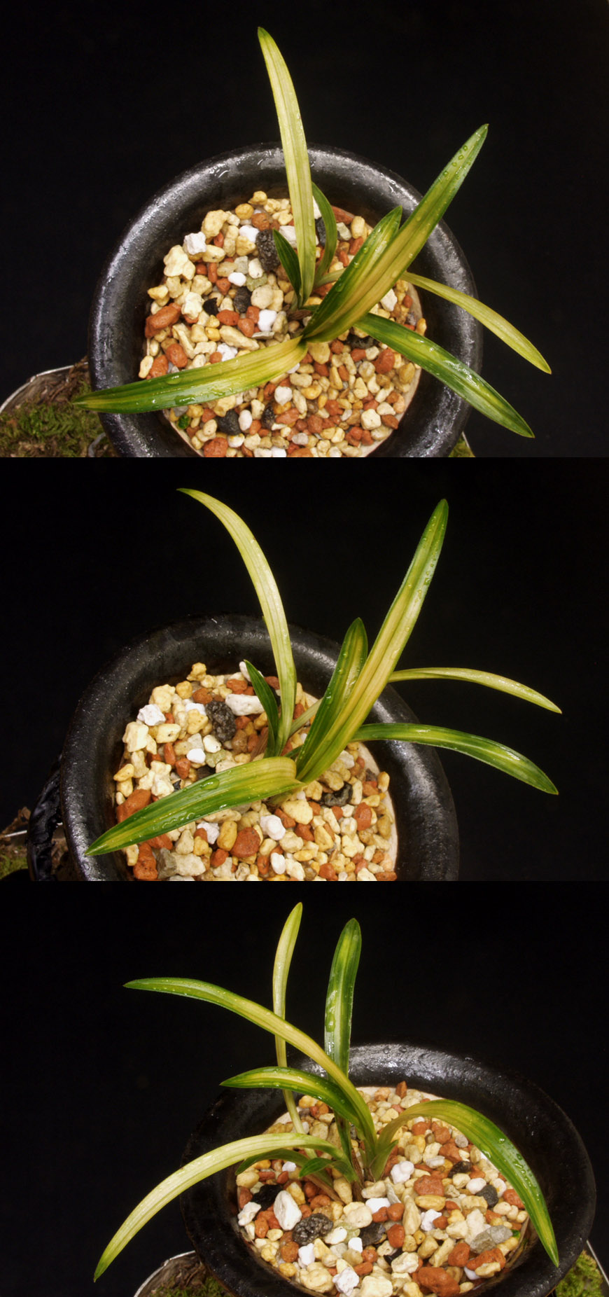 ������ ū������ �� �� �ֽ��ϴ�.