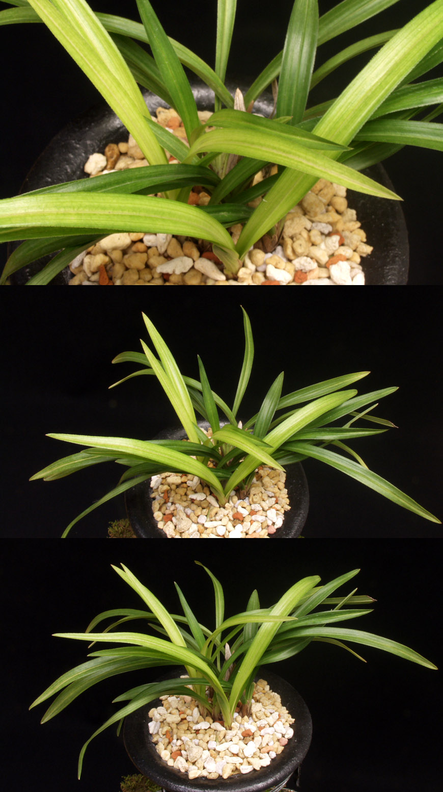 ������ ū������ �� �� �ֽ��ϴ�.