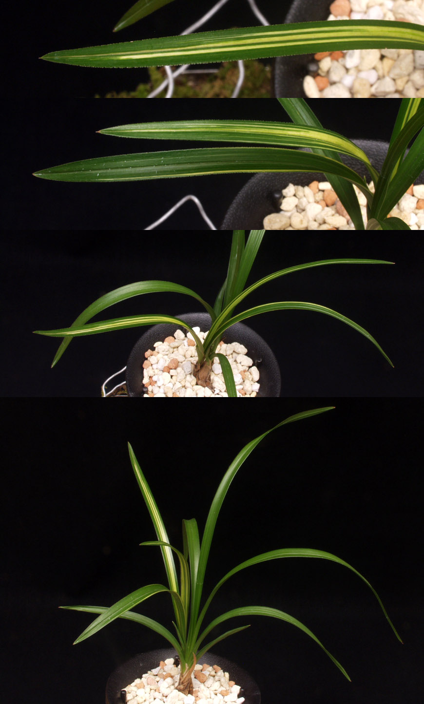 ������ ū������ �� �� �ֽ��ϴ�.