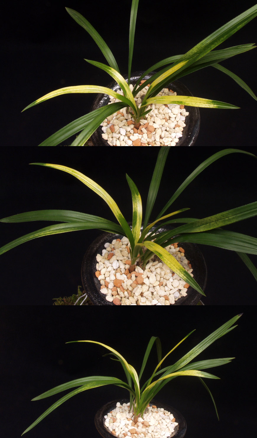 ������ ū������ �� �� �ֽ��ϴ�.