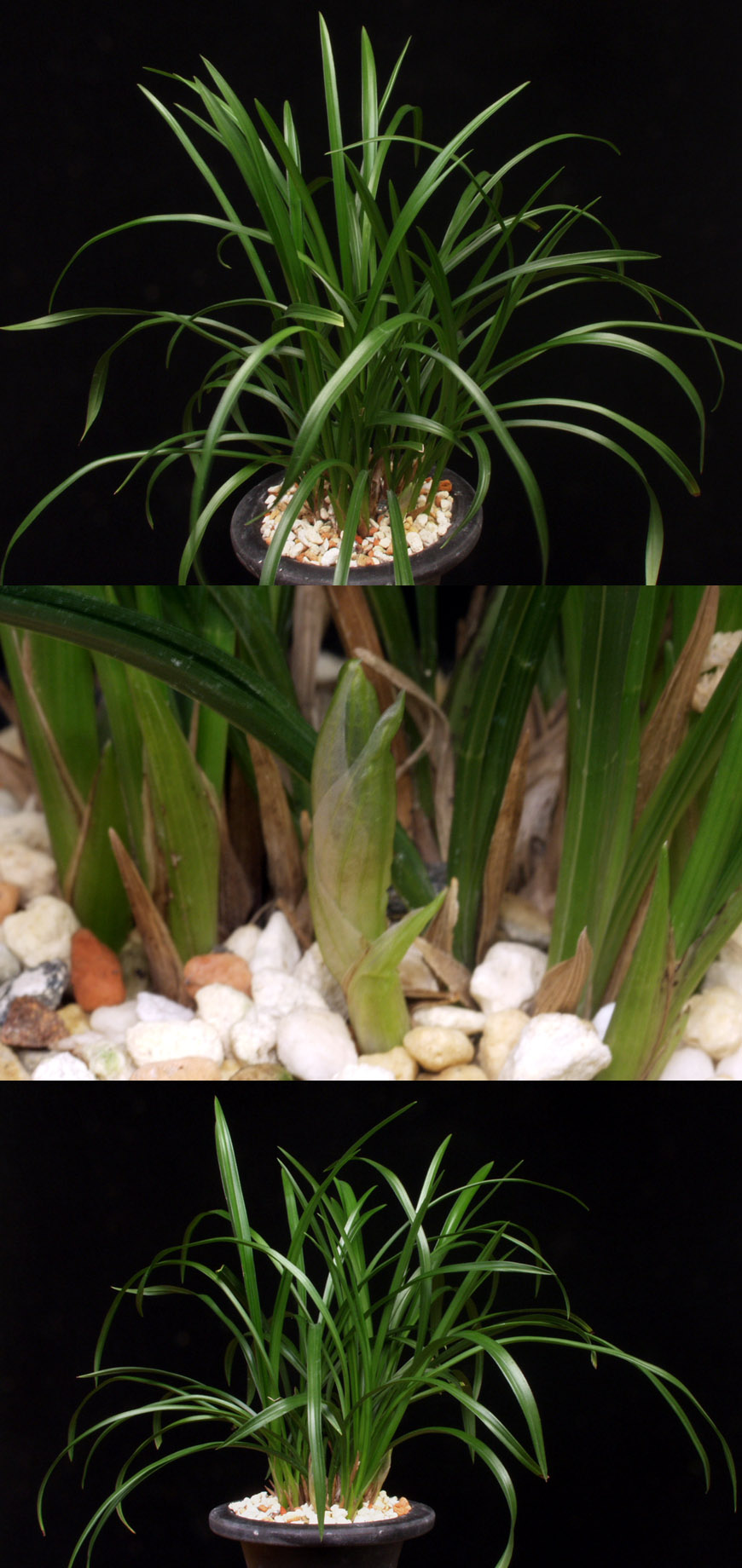 ������ ū������ �� �� �ֽ��ϴ�.