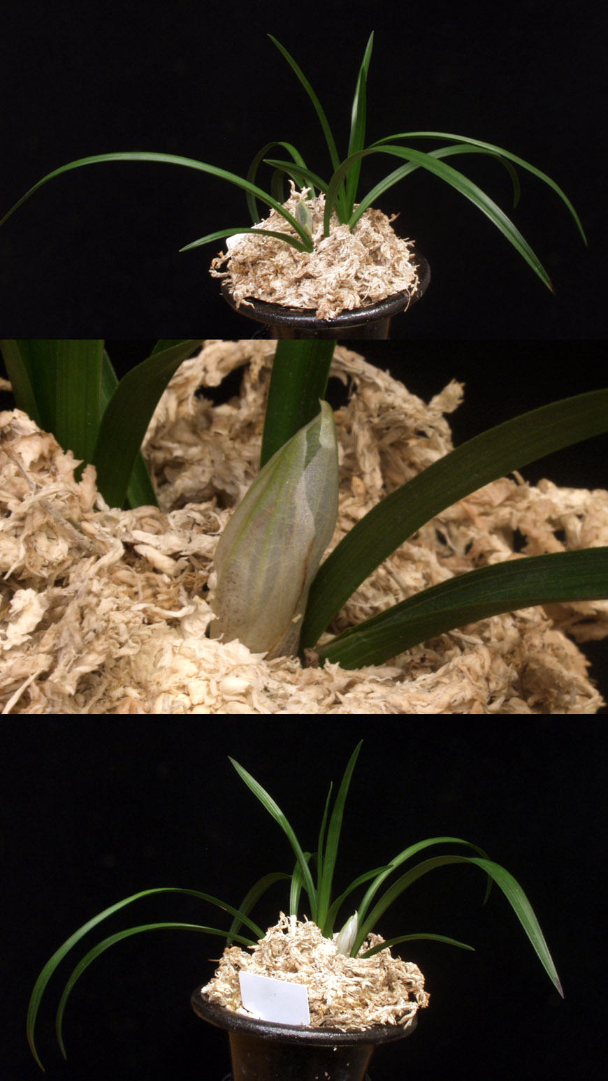 ������ ū������ �� �� �ֽ��ϴ�.