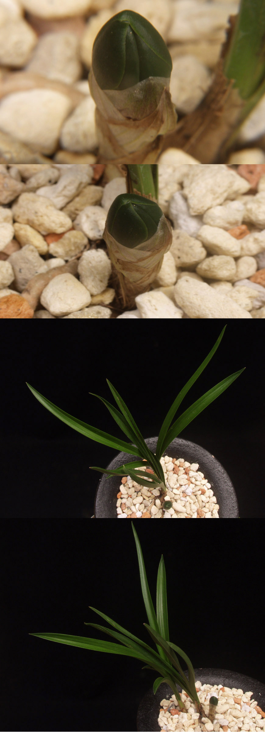 ������ ū������ �� �� �ֽ��ϴ�.