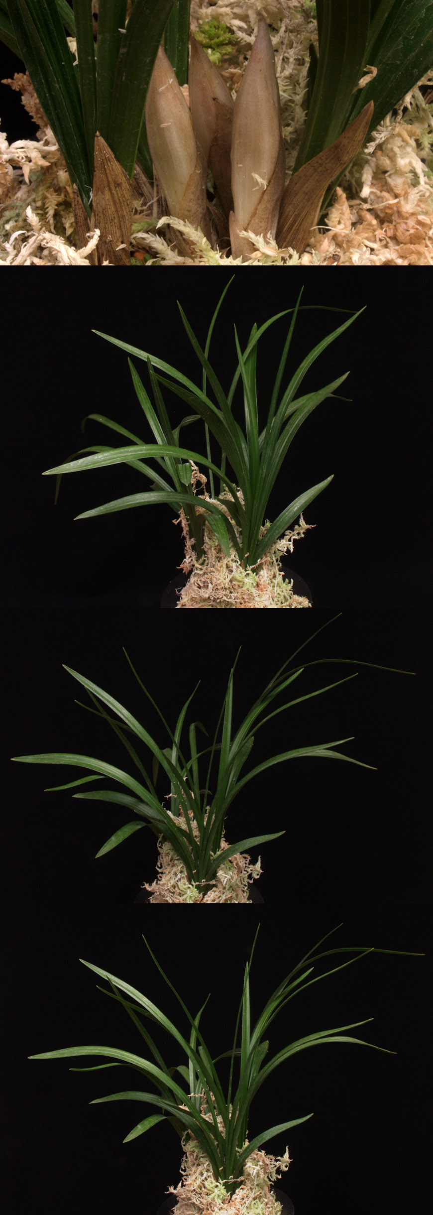 ������ ū������ �� �� �ֽ��ϴ�.