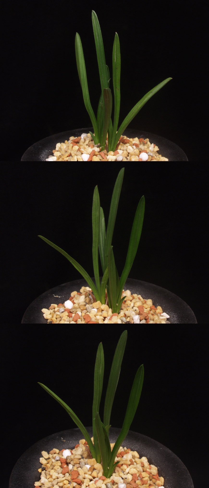 ������ ū������ �� �� �ֽ��ϴ�.