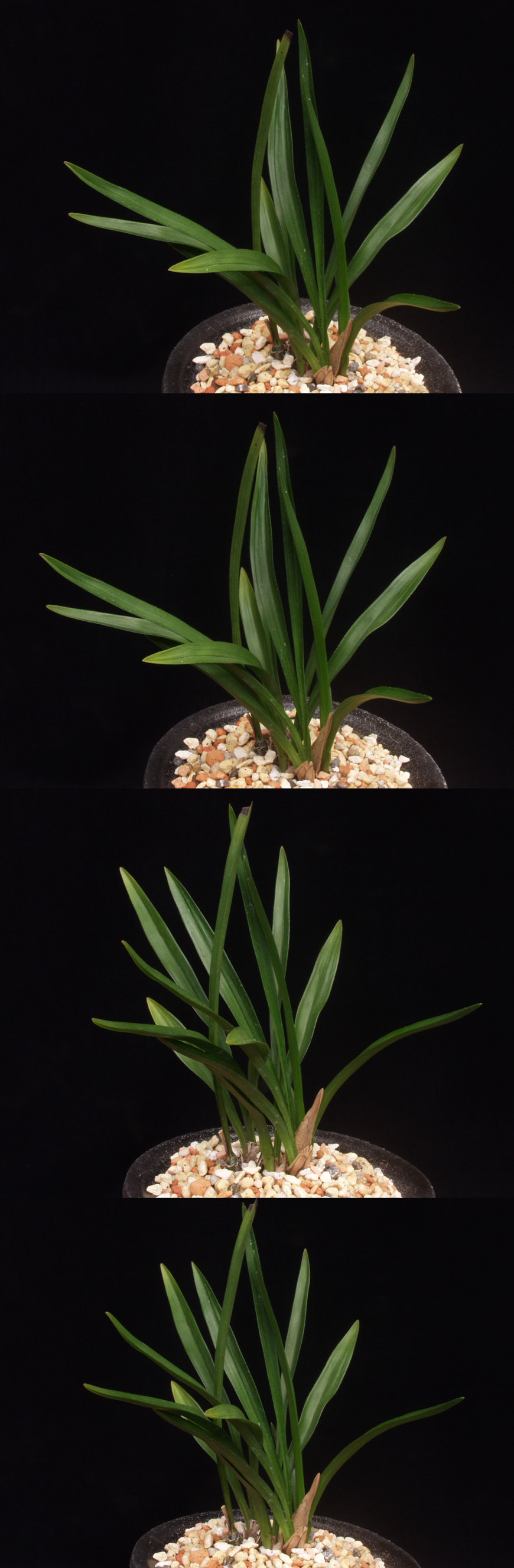 ������ ū������ �� �� �ֽ��ϴ�.