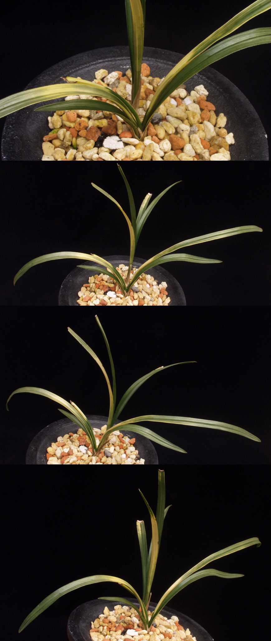 ������ ū������ �� �� �ֽ��ϴ�.