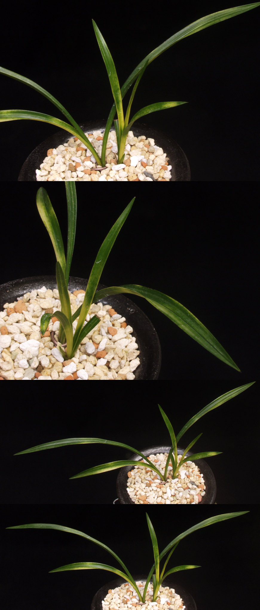 ������ ū������ �� �� �ֽ��ϴ�.