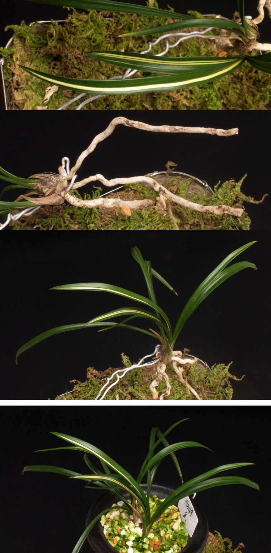 ������ ū������ �� �� �ֽ��ϴ�.