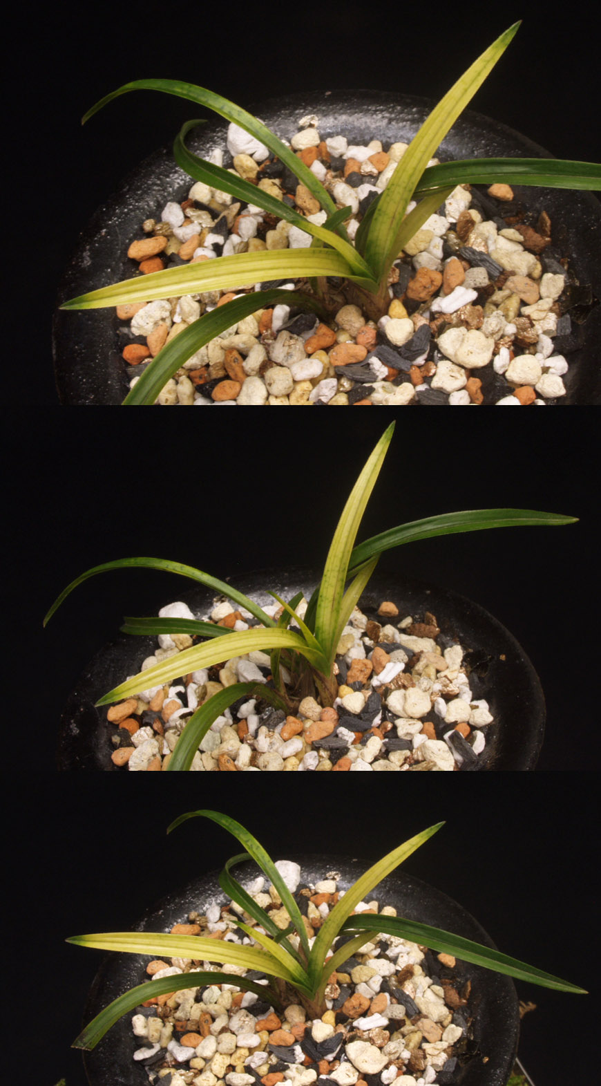 ������ ū������ �� �� �ֽ��ϴ�.