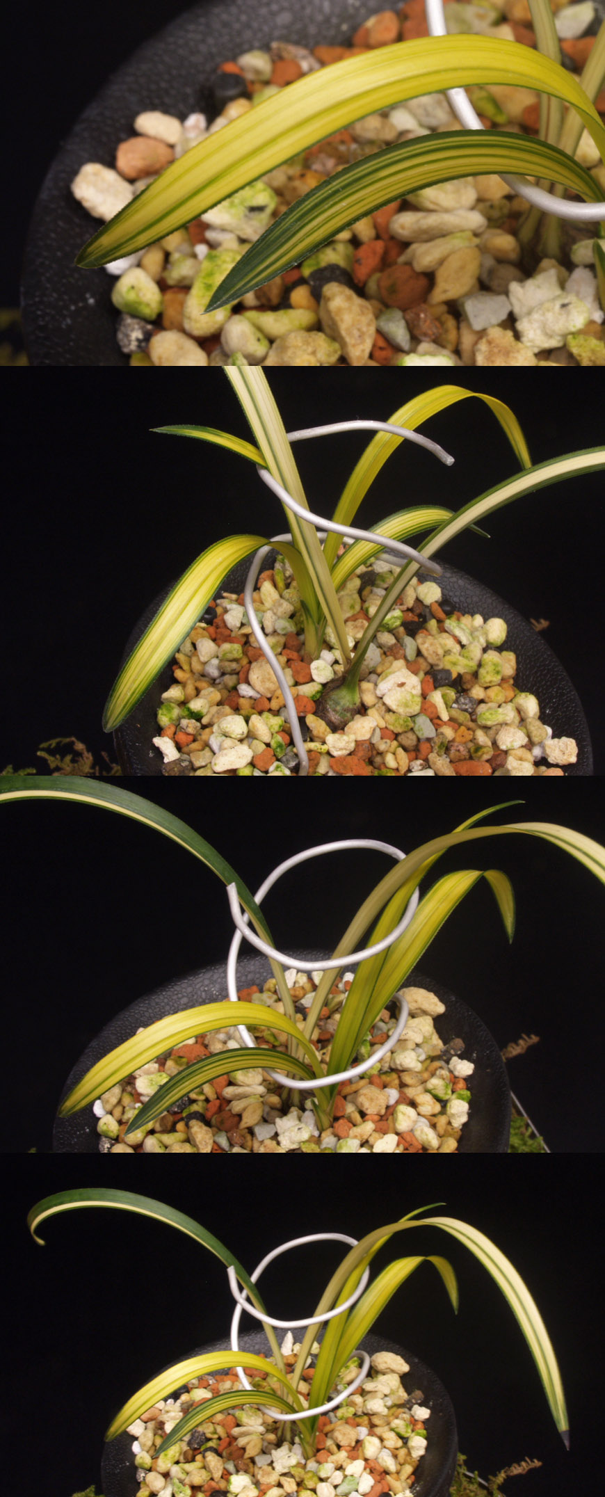 ������ ū������ �� �� �ֽ��ϴ�.