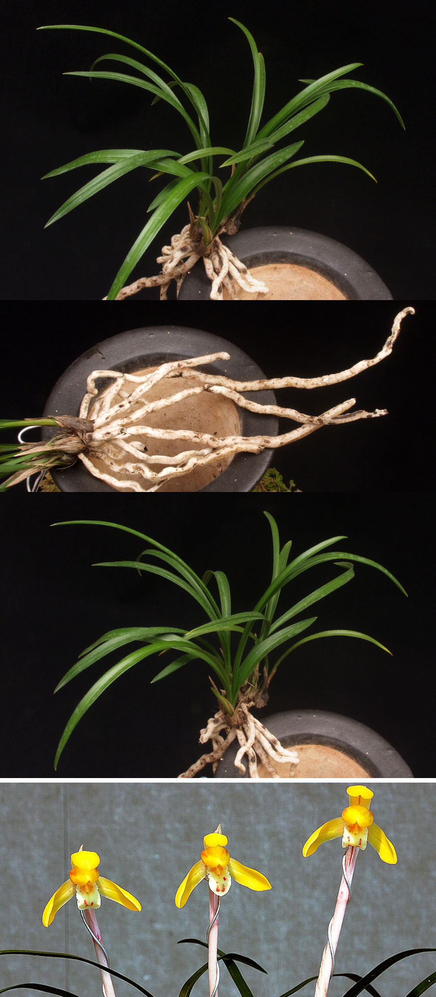 ������ ū������ �� �� �ֽ��ϴ�.