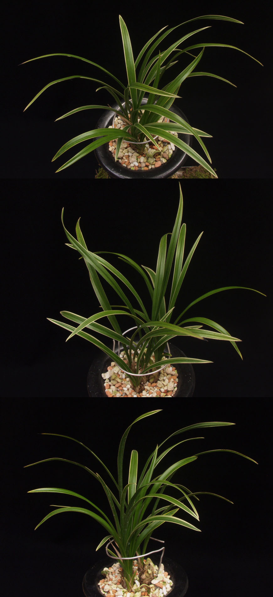 ������ ū������ �� �� �ֽ��ϴ�.