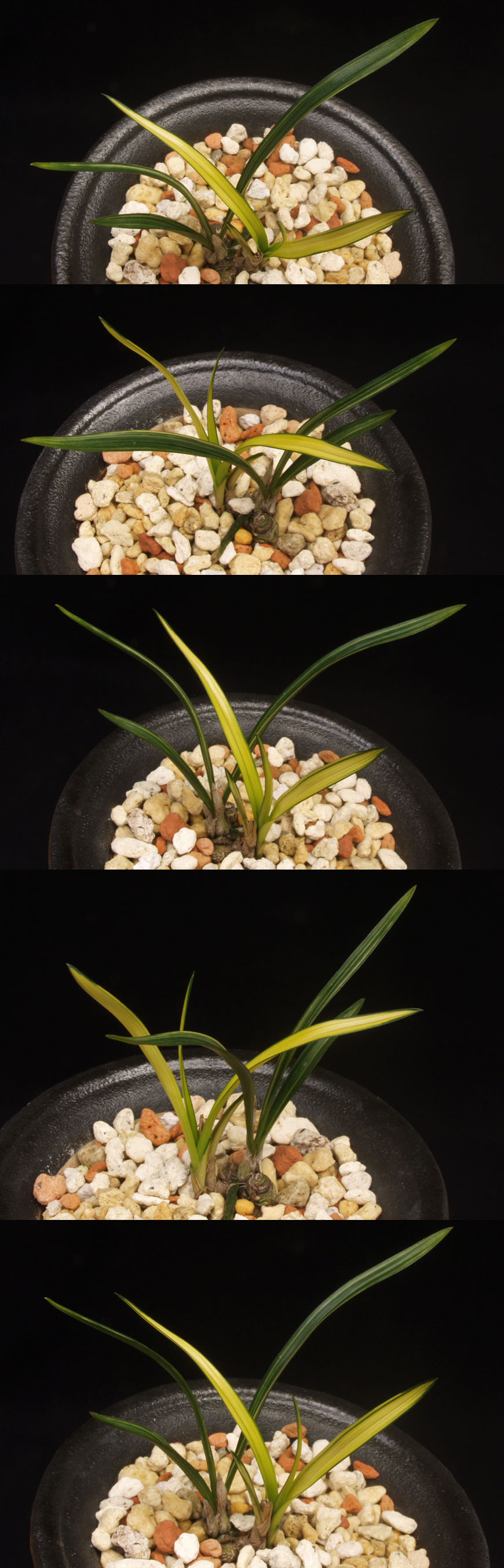 ������ ū������ �� �� �ֽ��ϴ�.