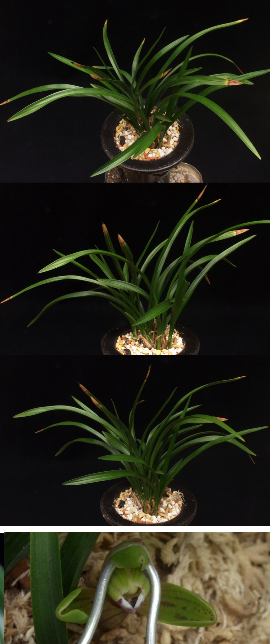 ������ ū������ �� �� �ֽ��ϴ�.