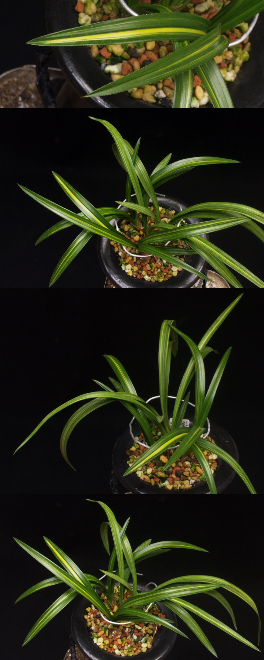 ������ ū������ �� �� �ֽ��ϴ�.