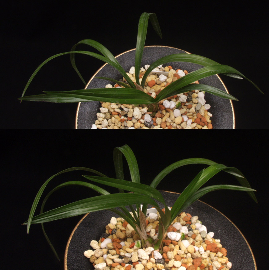 ������ ū������ �� �� �ֽ��ϴ�.