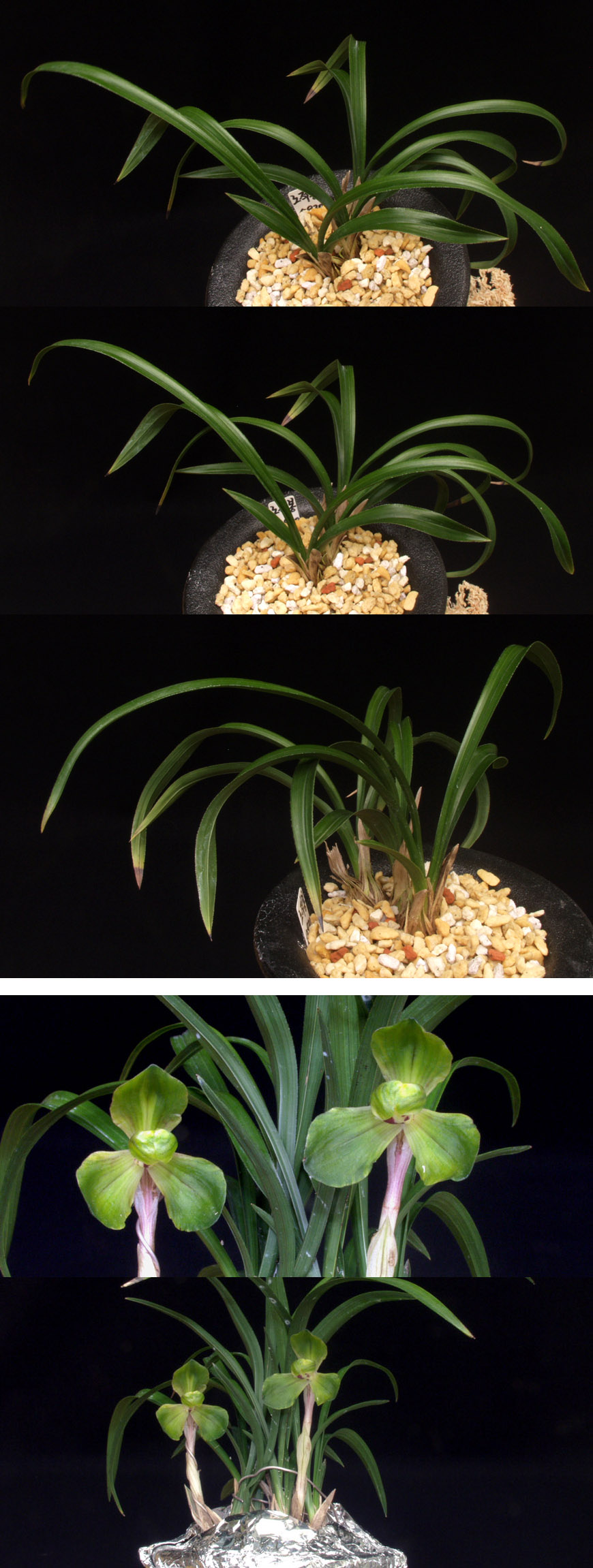 ������ ū������ �� �� �ֽ��ϴ�.