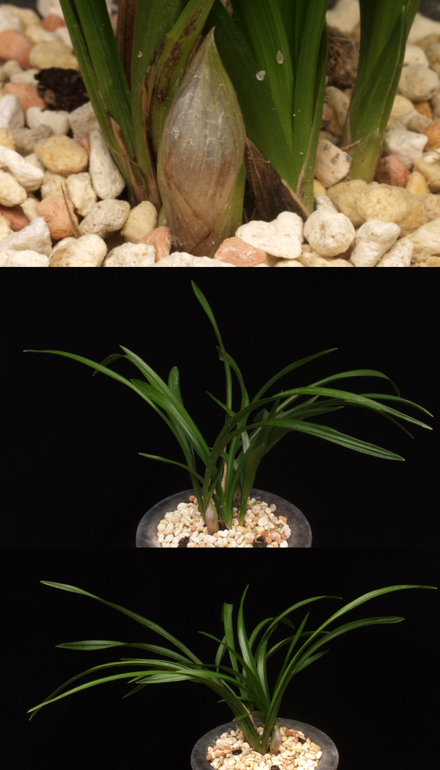 ������ ū������ �� �� �ֽ��ϴ�.