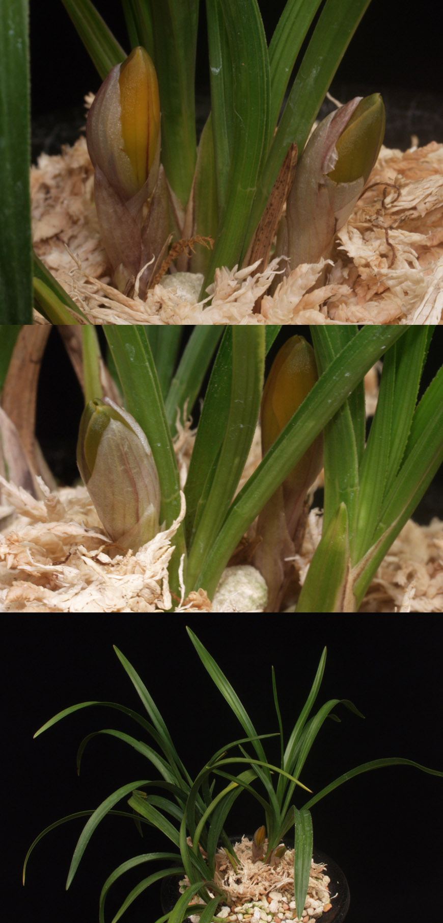 ������ ū������ �� �� �ֽ��ϴ�.