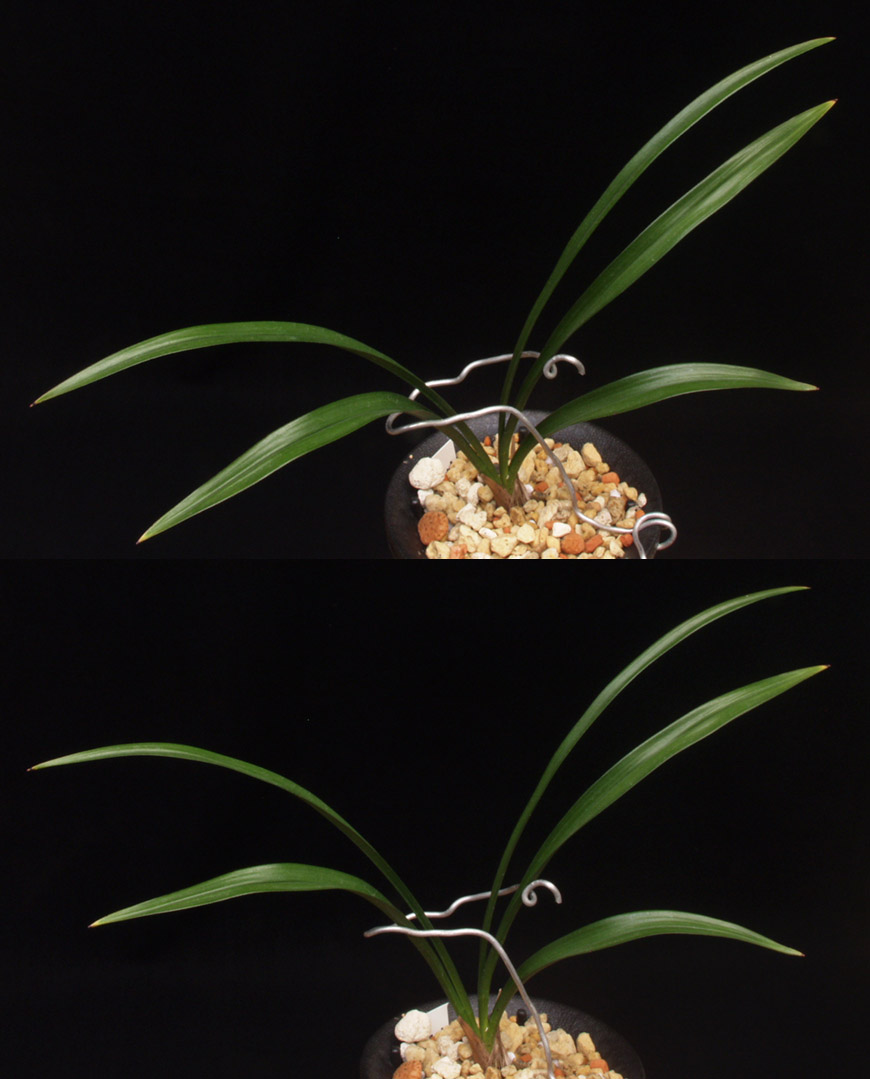 ������ ū������ �� �� �ֽ��ϴ�.