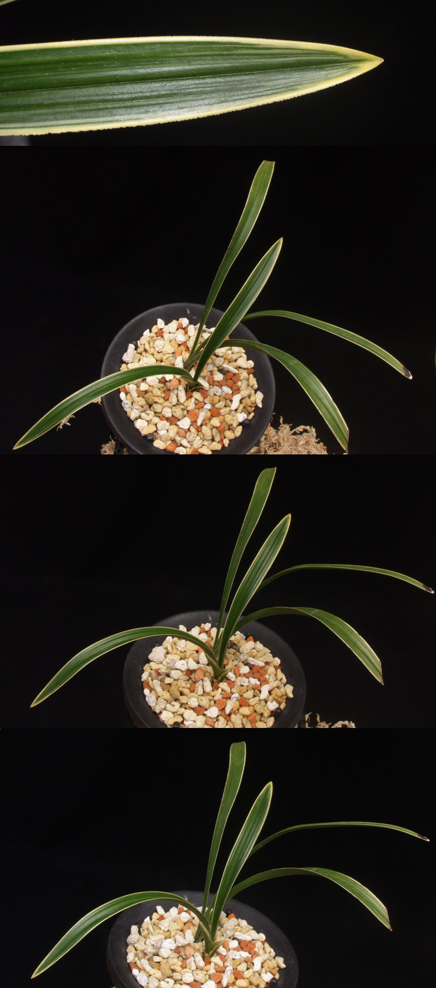 ������ ū������ �� �� �ֽ��ϴ�.