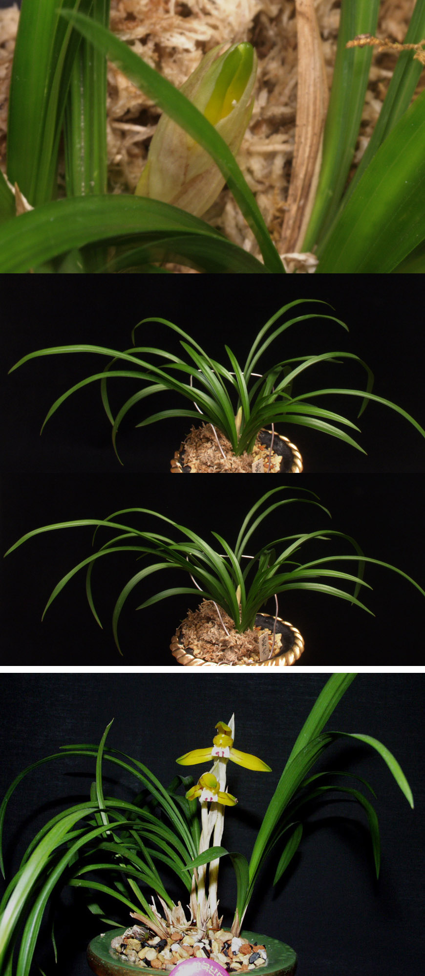 ������ ū������ �� �� �ֽ��ϴ�.